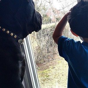 Meet your Posher, Michael